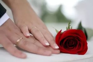 Roz (staniu) nunta - este cât de mulți ani, un cadou de la 10 de ani de la soț, soție, zatusim! (Aniversarea de 10 ani) Roz (staniu) nunta - este cât de mulți ani, un cadou de la 10 de ani de la soț, soție, zatusim!