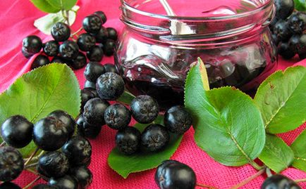 Negru chokeberry proprietăți utile și contraindicații (chokeberry Aronia)