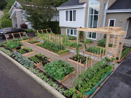 Grădină, gradina de legume, oferind toate cele mai vii și interesante cu propriile lor mâini