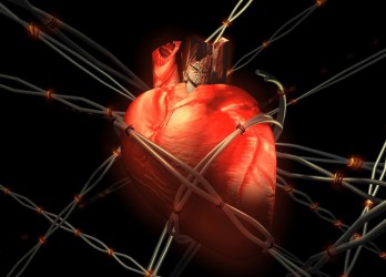 Cele mai frecvente boli ale sistemului cardiovascular