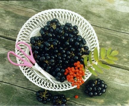 Sunberry utilizare, cultivare, îngrijire, rețete