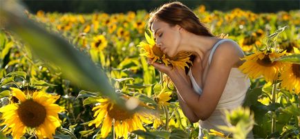 Semințele de floarea soarelui rău și beneficiile prime și prăjite pentru femei și bărbați