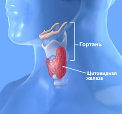 tiroidă
