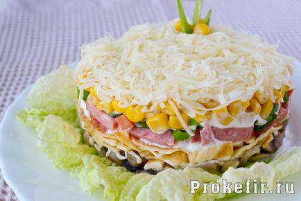 fondantă de ciocolată (fondant) fondantă de ciocolată