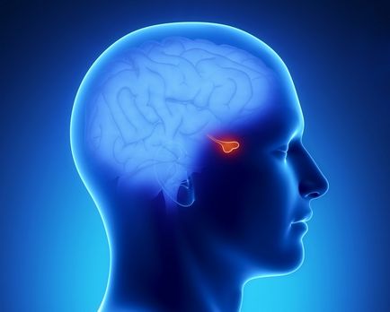 Sindromul Sella gol în creier, ceea ce este, simptomele, tratamentul copilului