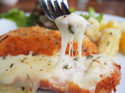 sos de brânză - nouă opțiuni delicioase - informații din domeniul alimentar