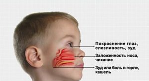 Cât timp copilul are un nas înfundat