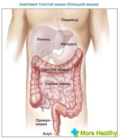 Mucusul în intestin - un simptom alarmant