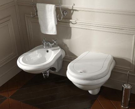 Sfaturi pentru alegerea unui suspendate pe perete tipuri de WC și Ozora de instalații