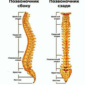 Tratamentul coloanei vertebrale hernie și îndepărtarea, tipuri și cauze, diagnostic
