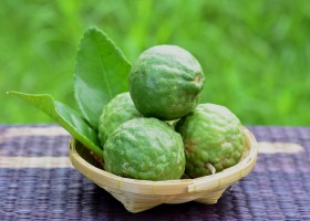Metode de ulei Utilizare jojoba (aplicat la rădăcina părului) Metode de ulei Utilizare jojoba