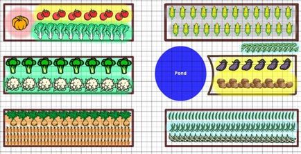 legume de plantare Schema de rotație a culturilor de legume de grădină, de a crea la cabana de vara,