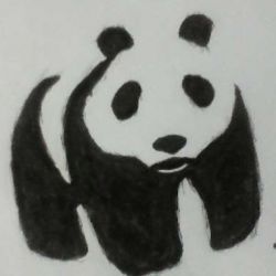 Tatuaj valoare panda tatuaj, 28 de fotografii, schițe