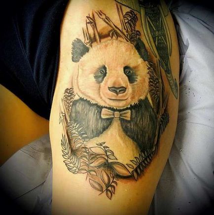 Tatuaj valoare panda tatuaj, 28 de fotografii, schițe