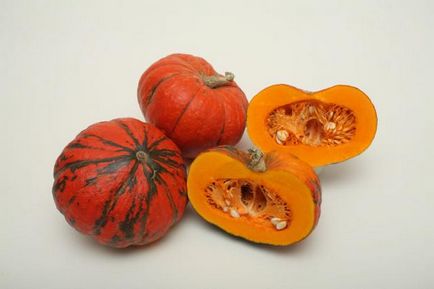 îngrijire dovleac și cultivare în câmp deschis - instrucțiuni detaliate! (Cultivarea in aer liber dovleac) îngrijire dovleac și cultivare în câmp deschis - instrucțiuni detaliate!