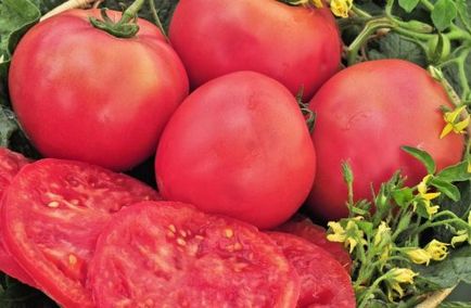 Caracterizarea și descrierea soiului de tomate tomate roz gigant