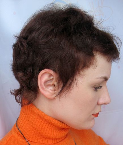 Tonifiere tonifiere mousse Igora expert mousse, Schwarzkopf profesionale (Igora) Tonifiere tonifiere mousse Igora expert mousse, Schwarzkopf profesionale