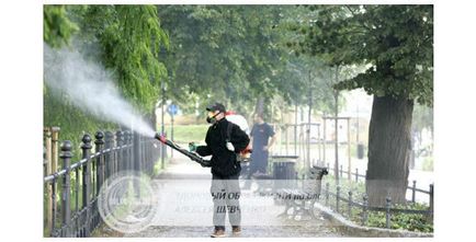 Oamenii de stiinta explica fenomenul amneziei copiilor din perspective diferite (explica) Oamenii de stiinta explica fenomenul amneziei copiilor dintr-o perspectivă diferită