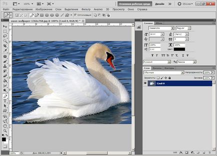 Tutoriale Photoshop, separarea obiectului din fundal, cum să taie, toate pentru Photoshop