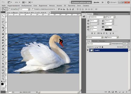 Tutoriale Photoshop, separarea obiectului din fundal, cum să taie, toate pentru Photoshop