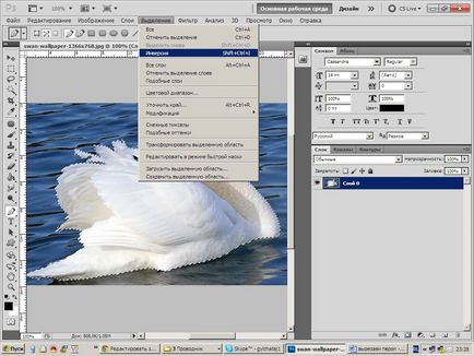 Tutoriale Photoshop, separarea obiectului din fundal, cum să taie, toate pentru Photoshop