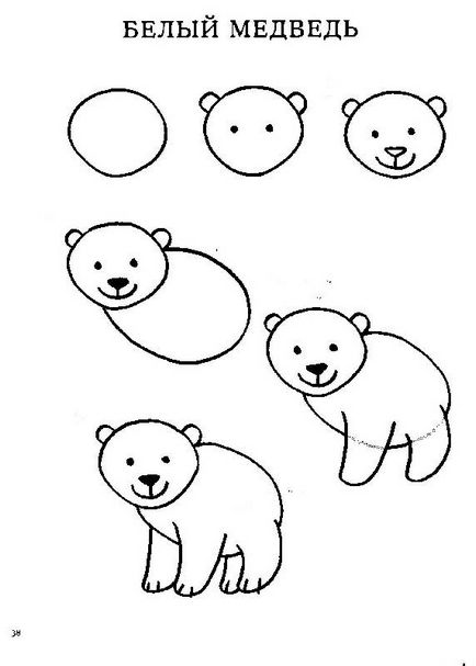 Desen lecții pentru începători desene ale cercurilor pentru cei mici