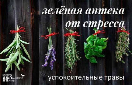 ierburi și instrumente de calmante, pe blog-ul Iriny Zaytsevoy (ierburi și instrumente liniștitor.) ierburi și instrumente de calmante, pe blog-ul Iriny Zaytsevoy
