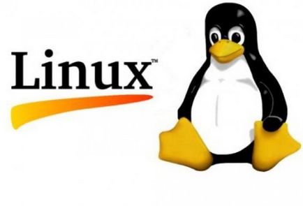 Instalarea Gentoo Linux - ghid pas cu pas