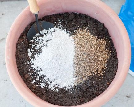 Vermiculita - ceea ce este planta vermiculit