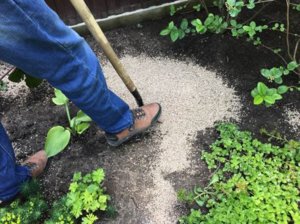 planta Vermiculita ce este și modul în care este utilizat produsul