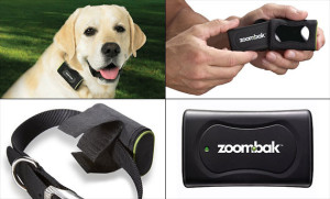 Alegerea celui mai bun tracker GPS pentru câini, o revizuire a modelelor populare
