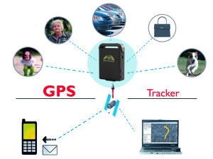 Alegerea celui mai bun tracker GPS pentru câini, o revizuire a modelelor populare