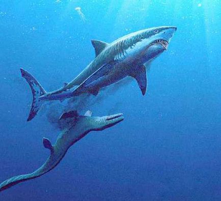 Tipuri de rechini vechi, rechin fosili