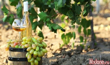Povestea de origine Vin - vinul, soiuri de vin, fabricarea vinului, istorie
