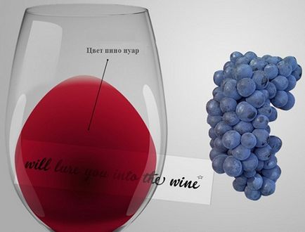 Vin „Pino Nuar (Pinot noir)» - caracteristici și cultură a consumului