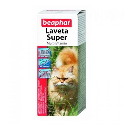 Vitamine pentru pisici de la căderea părului - nutriție corectă pisica și pisica