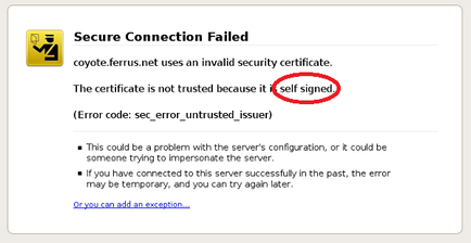 Există o problemă cu certificatul de securitate al site-ului - ce să facă