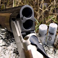 România a fost permis să poarte armă pentru autoapărare în noua lege cu privire la arme în acest an