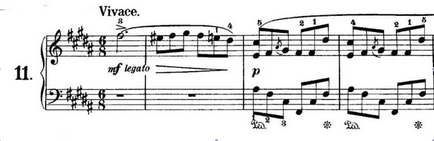 Tot ceea ce ai vrut să știi despre preludii lui Chopin, articolul
