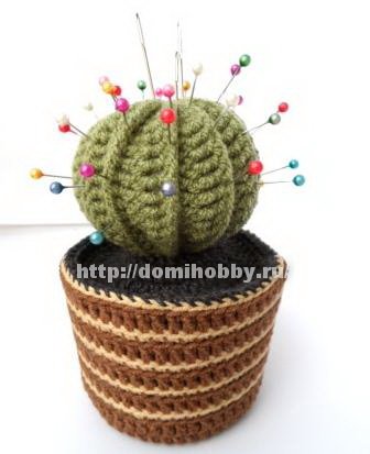 cactus tricotate