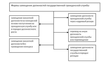 Substituirea Funcției Publice