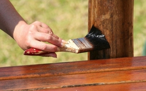 Protejarea formulărilor existente din lemn și metode pentru tratarea lemnului împotriva putregaiului, comentarii
