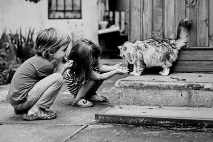25 fotografii incredibil de emoționante copii care se joacă cu lei
