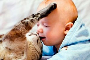 30 fotografii Fun copiilor cu pisici