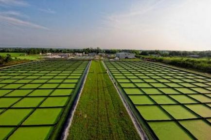 surse alternative de energie și tipuri de utilizare (specii) surse alternative de energie și tipuri de utilizare