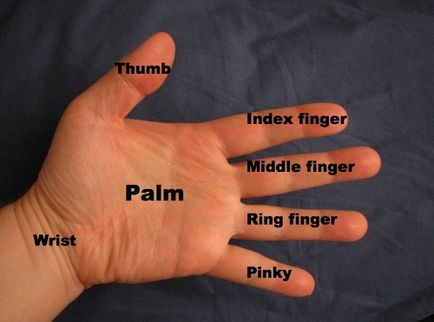 expresii în engleză cu numele degetelor