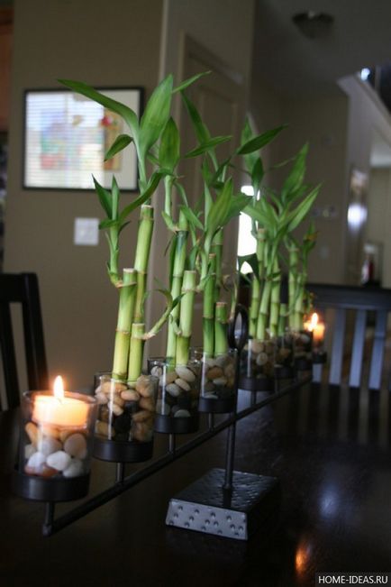 Bamboo din interior (19 poze), modul de utilizare bambus în proiectarea apartamentului