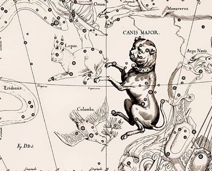 Canis Major (constelația)