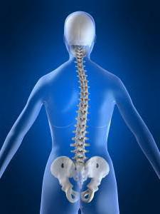 Ceea ce este în partea dreaptă a persoanei în abdomen sub coaste, în fața și în spatele (care se află în partea dreaptă a persoanei care se află în partea dreaptă a persoanei în abdomen, care se află în partea dreaptă a unei persoane din spate) Ceea ce este în partea dreaptă a persoanei în abdomen sub coaste în față și în spate