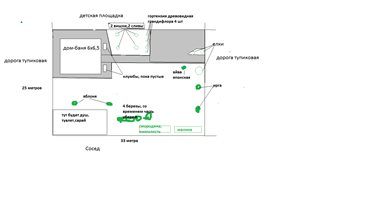 Ce să planteze în vecinătatea hortensie care florile sunt plantate lângă Hydrangea paniculata